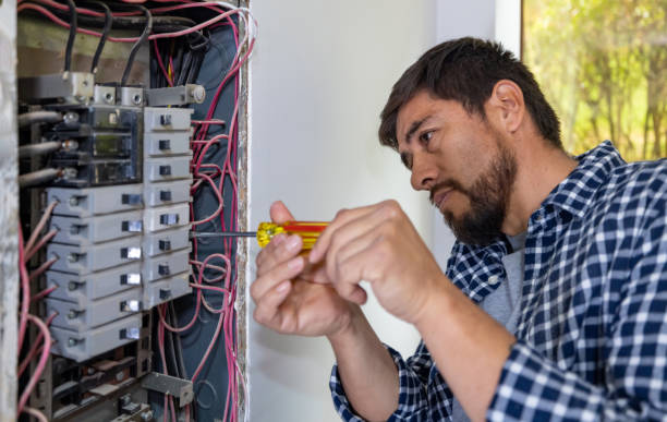 Best Electrician for Home Renovation  in Pantego, TX